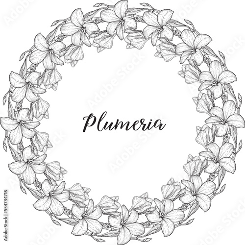 Bright flowers Plumeria. Flower arrangement. Delicate flowers. Vector flowers. 