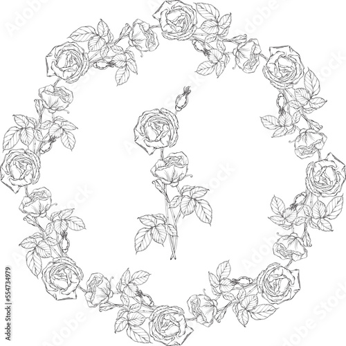 Graphic roses. Flower arrangement. Roses. Vector roses. Floral wreath. 