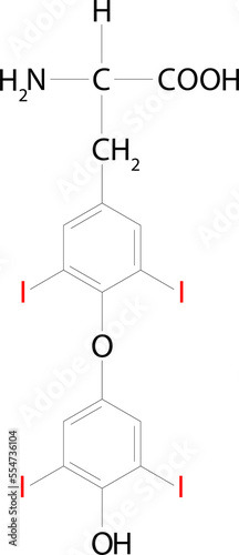 Thyroxine (T4). One of the two major hormones secreted by the thyroid gland. Chemical formula.