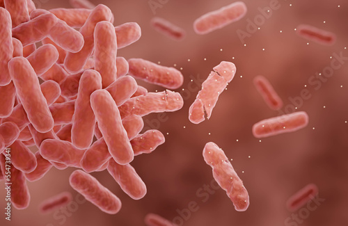 Antibiotics such as Penicillin killing bacteria photo
