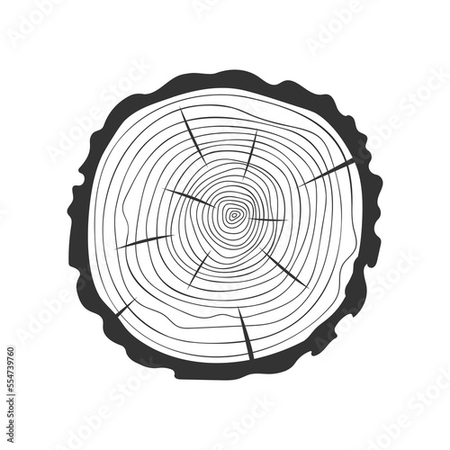 Tree rings in doodle style. Hand drawn trunk cross section texture. Dendrochronology method to determine tree age. Wooden surface stamp isolated on white background. Vector graphic illustration