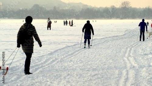 on a frosty winter evening, the townspeople go skiing and sledding, walking their dogs. Winter activities, winter sports, big snowy field in Krakow on Christmas eve