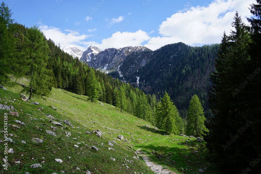 Beautiful landscape in the Bavarian Alps in Berchtesgaden Beautiful landscape in the Bavarian Alps in Berchtesgaden