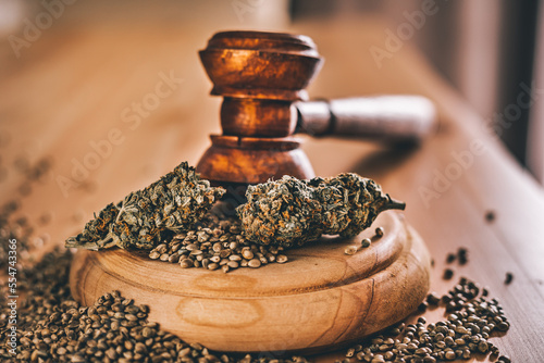 Legality of Medical Cannabis and Seeds, legal and illegal Cannabis, Seeds on the World - Wooden judge hammer and sound block with seeds and flower of marijuana CBD on the pinewood table background.