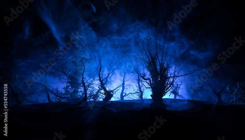 Spooky dark landscape showing silhouettes of trees in the swamp on misty night.