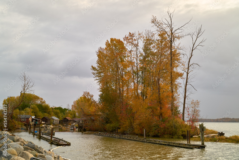 Naklejka premium Finn Slough Autumn Fraser River. Finn Slough in Fall on the banks of the Fraser River near Steveston in Richmond, British Columbia, Canada.