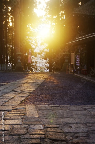 今を遡ること1000年を超える神社の或る朝の参道です。まだ寒さの残る３月の春彼岸の頃、ちょうど参道を照らすように朝陽が東の空にのぼります。