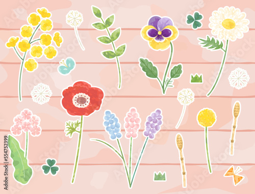 菜の花やパンジー・アネモネなどのの春の花のイラストのセット　白フチ付きバージョン