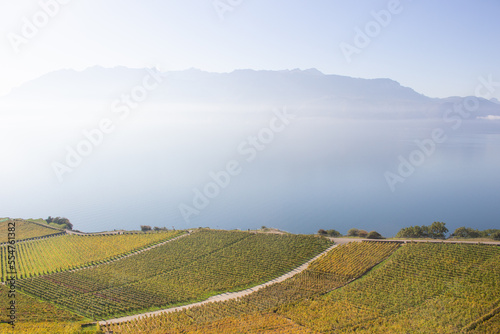 Beautiful morning landscape of Lavaux vineyards and lake Geneva in Autumn, Switzerland