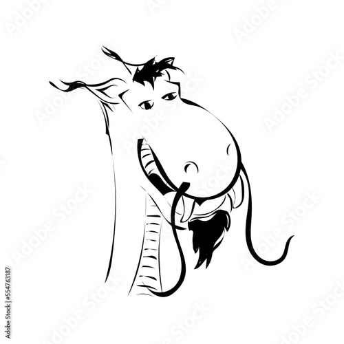 Drache