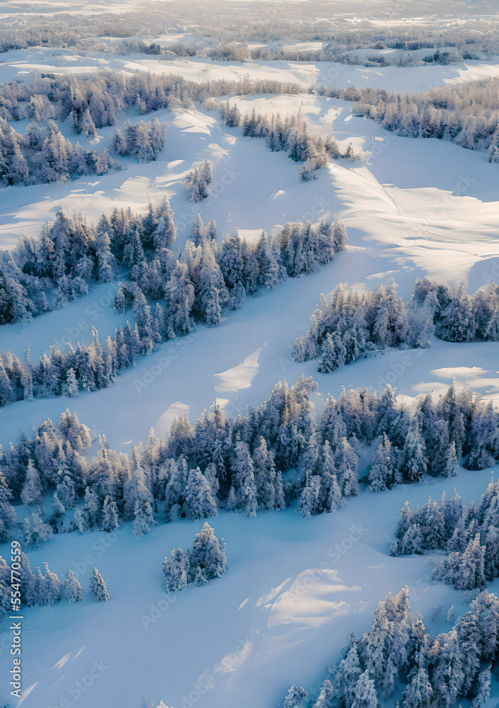 aerial view of snowy forest landscape, generative AI aerial view of snowy forest landscape, generative AI