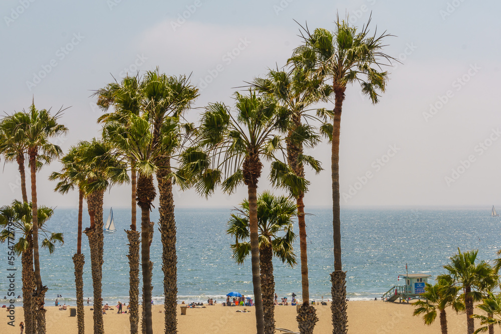 Palisades Park, Walk along Santa Monica Coast