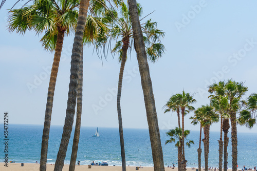 Palisades Park, Walk along Santa Monica Coast © ineffablescapes