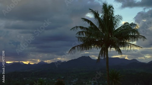 Wallpaper Mural Coconut palm trees sway in the evening light breeze looking down at the mountainside. Torontodigital.ca