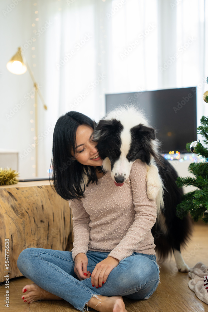 Young asian woman enjoy decorating Christmas tree with cute friend border collie dog at cozy house. Happy girl prepare for celebrating x-mas, New Year winter holidays with lovely puppy pet at home. Young asian woman enjoy decorating Christmas tree with cute friend border collie dog at cozy house. Happy girl prepare for celebrating x-mas, New Year winter holidays with lovely puppy pet at home.