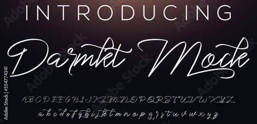 Signature Font Calligraphy Logotype Script Font Type Font lettering handwritten