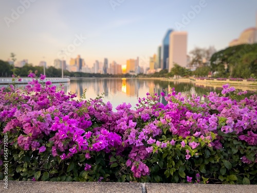 city skyline with flowers in bangkok thailand