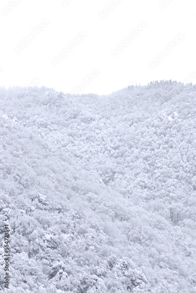 Obraz premium snow mountain