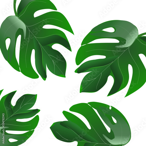 Drawing green leaves . isolate on white background. Copy space for your text and your business.