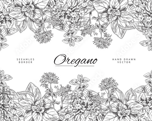 Monochrome seamless border with hand drawn oregano leaves and flowers sketch style