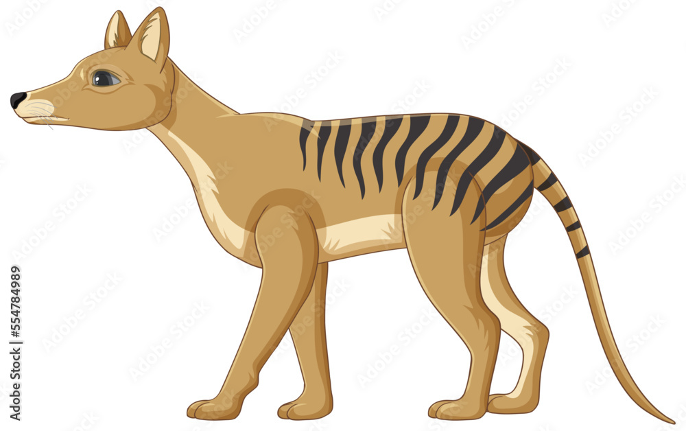 Fototapeta premium Tasmanian tiger extinct animal vector
