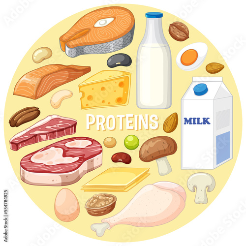 Variety of protein foods