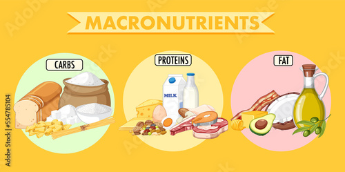 Food nutrition groups vector