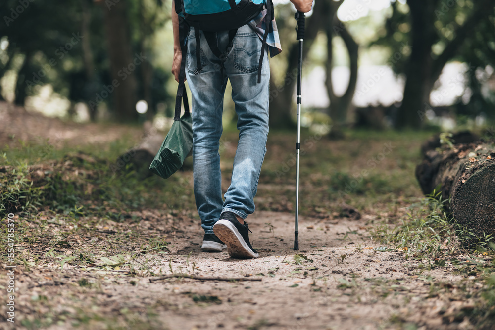 Hikers use trekking pole with backpacks and hold tent bag walking through the forest. hiking and adventure concept.