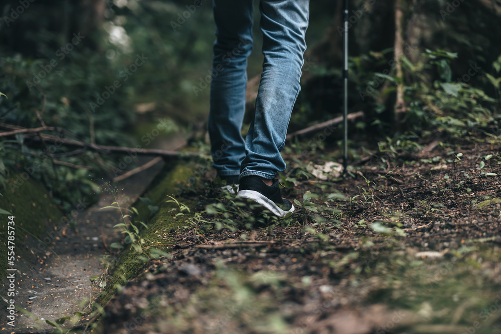 Hikers use trekking pole with backpacks and hold tent bag walking through the forest. hiking and adventure concept. Hikers use trekking pole with backpacks and hold tent bag walking through the forest. hiking and adventure concept.