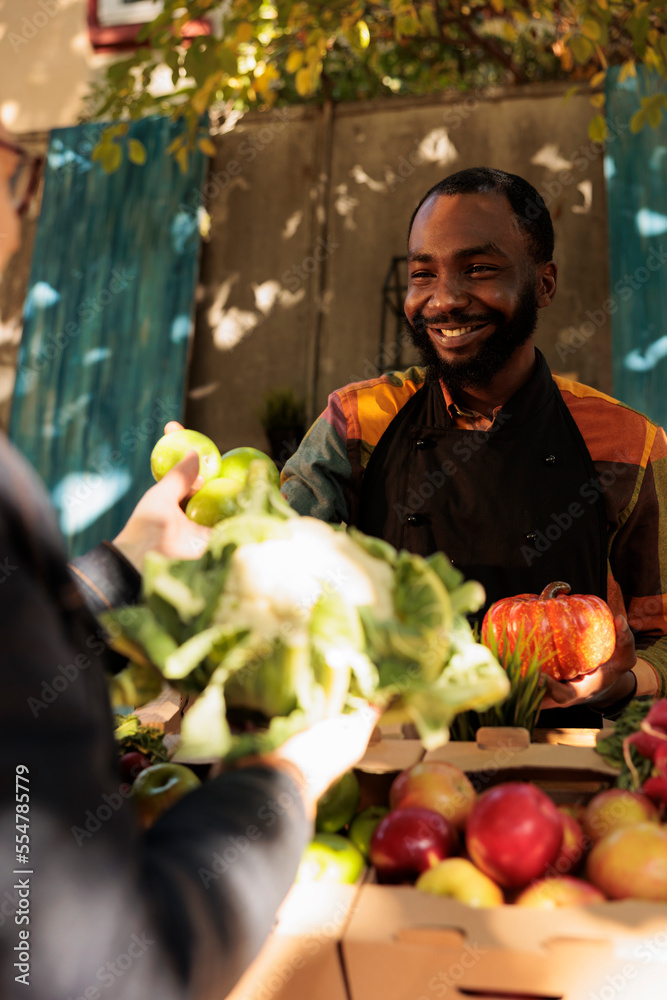 Fototapeta premium Cheerful farmer vendor presenting locally grown food on farmers market stand, small business organic products. Young man talking to senior farming customer, various fresh bio produce.