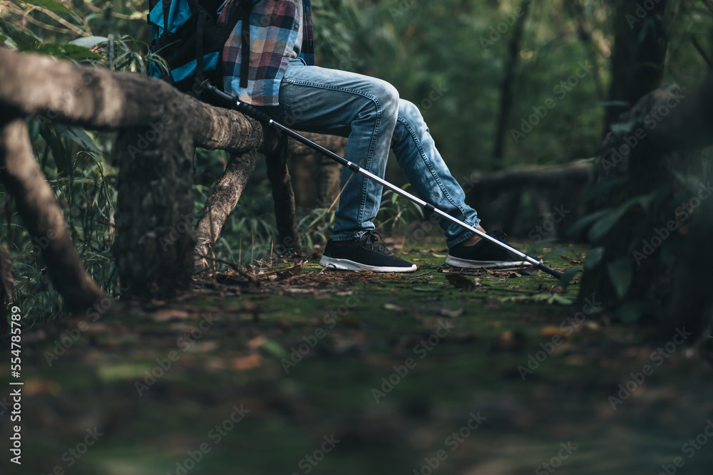 Naklejka premium hiker with backpack sitting on old wood fence in the forest while a rest. hiking and adventure concept.