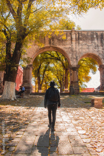 person walking in the park