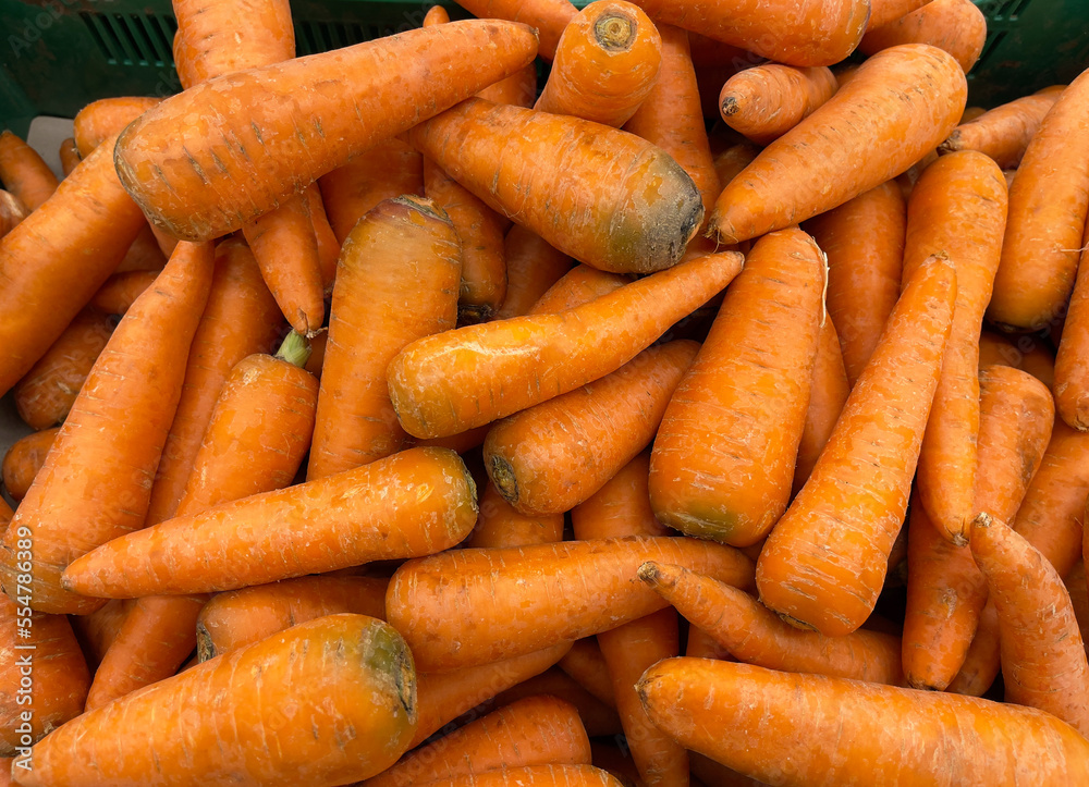 Fresh carrots in close-up. Box of carrots, new crop. Fresh carrots in close-up. Box of carrots, new crop.