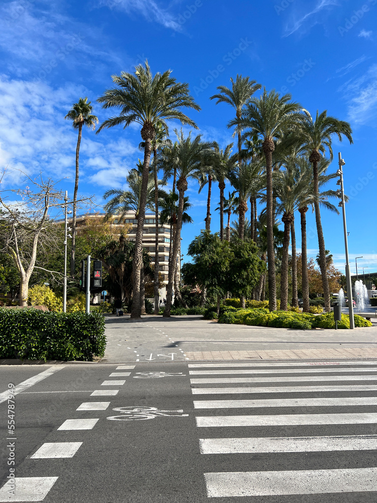 Fototapeta premium Bicycle path and pedestrian in the city Alicante