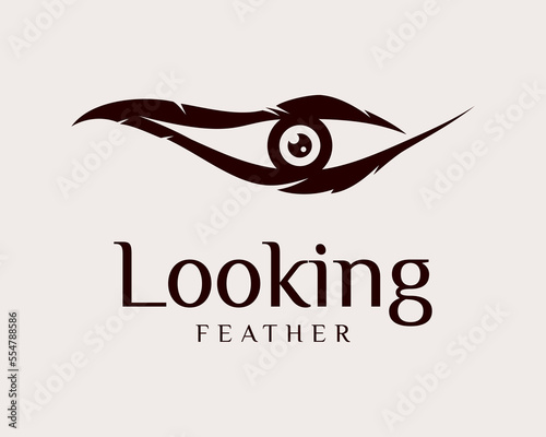 Feather Quill Bird Plume Lightweight Look Eye Vision Eyeball Pupil Smart Concept Vector Logo Design