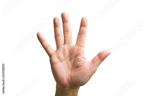 Fototapet Male hand showing five fingers, front view of hand palm
