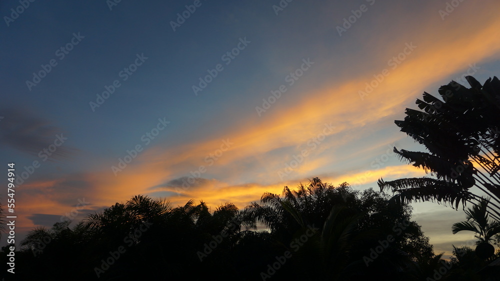 Aesthetic sunset different colors of sky at night, Beautiful sunsets sky with silhouette of trees. Aesthetic sunset different colors of sky at night, Beautiful sunsets sky with silhouette of trees.