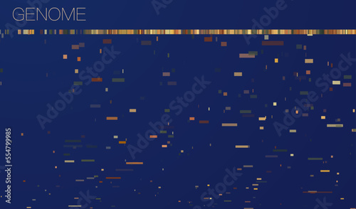 DNA genomic test, genome map.
