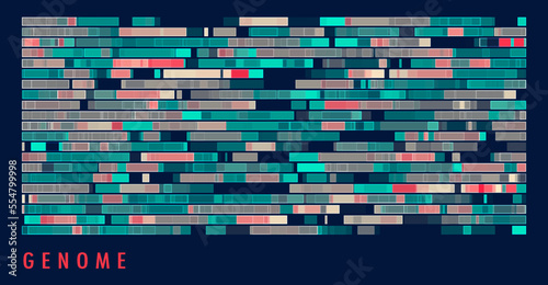 DNA genomic test, genome map.