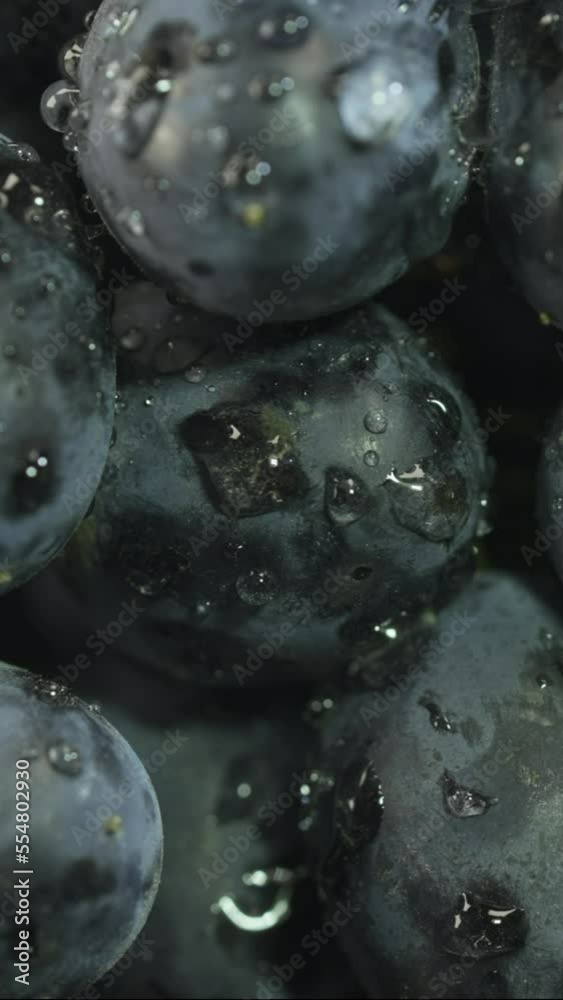 VERTICAL VIDEO, Close up of dark grapes with drops of water. Light moves along the grapes VERTICAL VIDEO, Close up of dark grapes with drops of water. Light moves along the grapes