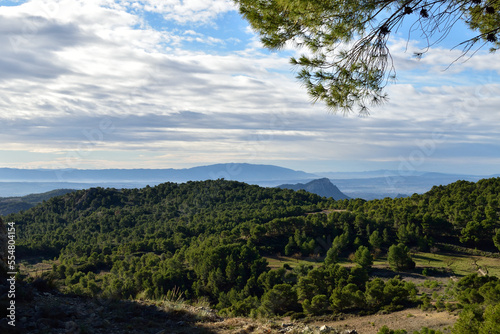 Spanish mountain scene with pine forest in the foreground