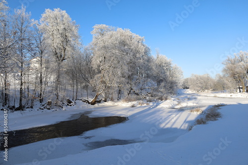 landscape with trees and snow © Raibkashi