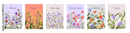 Floral card backgrounds set. Spring field flowers on modern botanical cover designs. Romantic gentle blossomed blooms, bellflowers and anemones on vertical nature banners. Flat vector illustrations