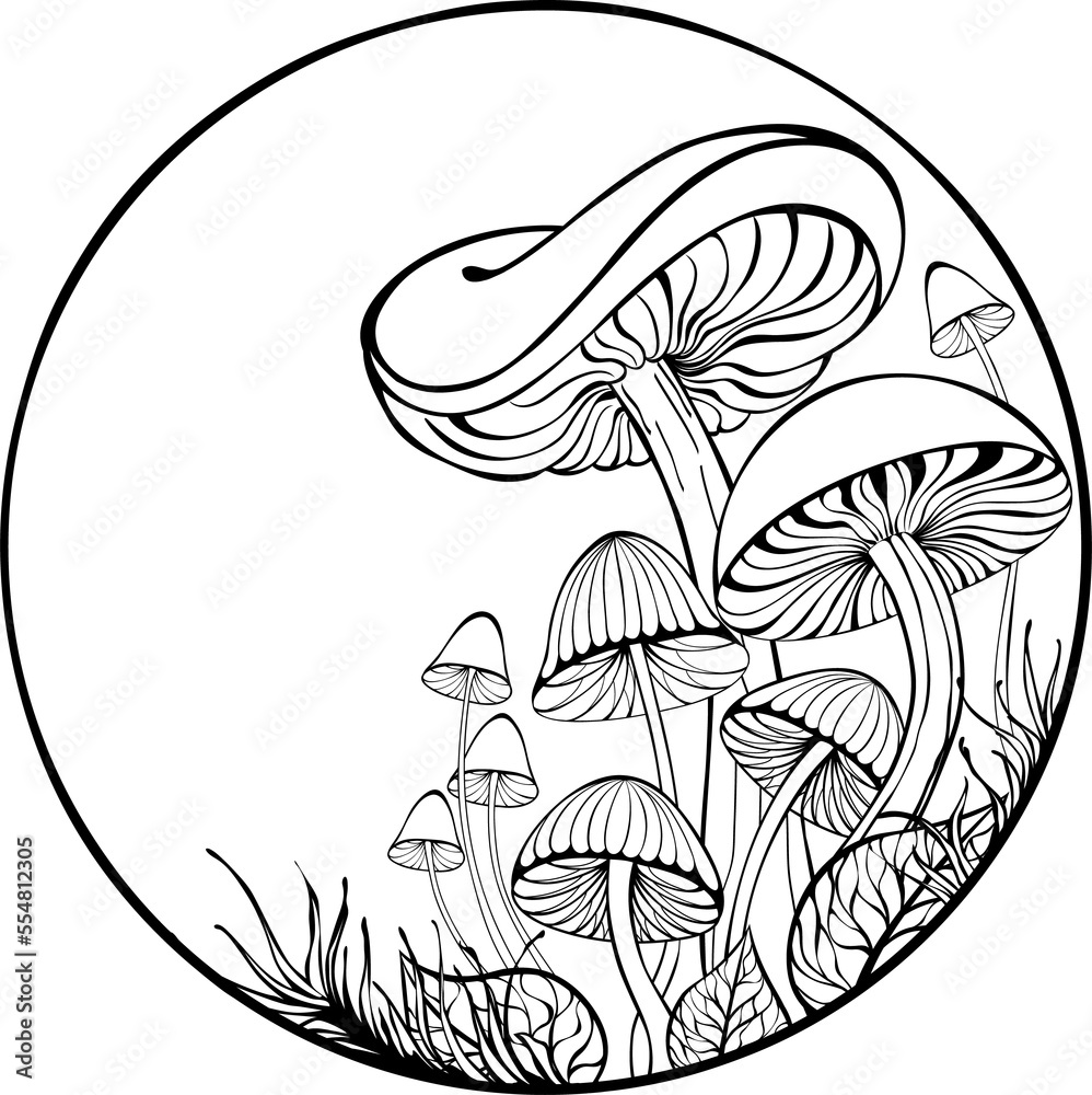 Naklejka premium Mushrooms in Circle