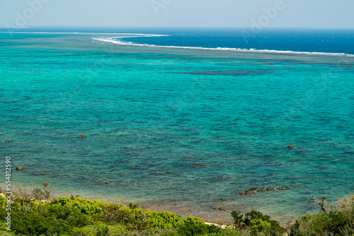 Fototapeta Naklejka Na Ścianę i Meble -  サンゴ礁の海