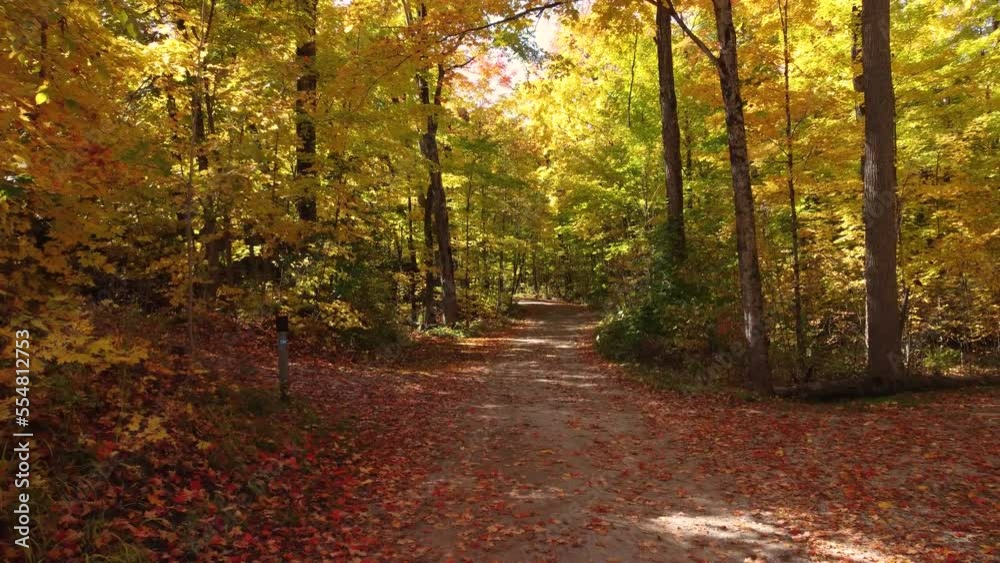 a sandy road through a forest in beautiful autumn colors in Vaughan, Canada a sandy road through a forest in beautiful autumn colors in Vaughan, Canada