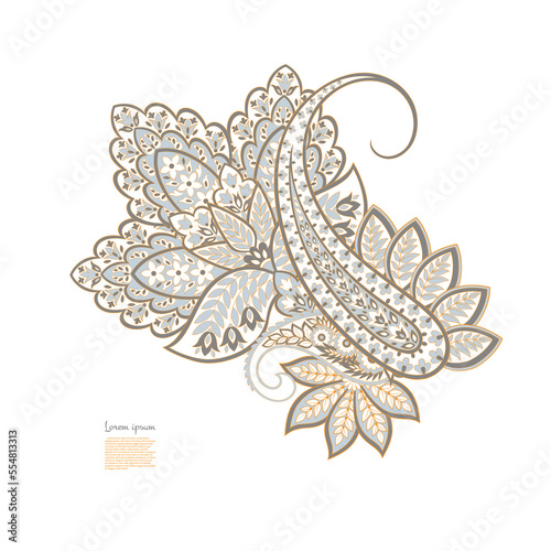 Damask Floral Paisley isolated Vector pattern