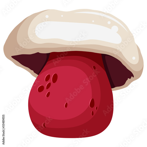 Illustration of mushroom named Rubroboletus Satanas (Satanic mushroom) isolated on transparent background. photo