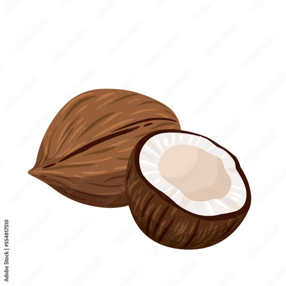 coconut on white background