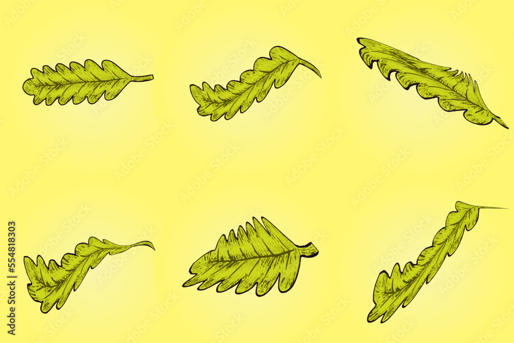 Naklejka premium Set of colorful autumn leaves and berries. Isolated on white background. Simple cartoon flat style. vector illustration.